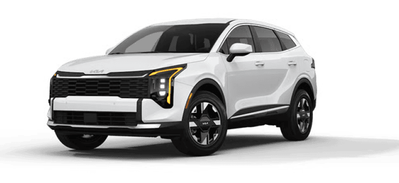 packshots for site_820 × 378-8